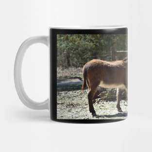 Donkey Mug